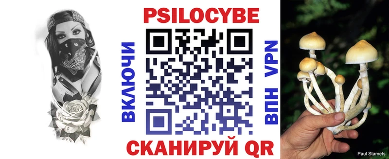Псилоцибиновые грибы GOLDEN TEACHER  купить  цена  Дубовка 